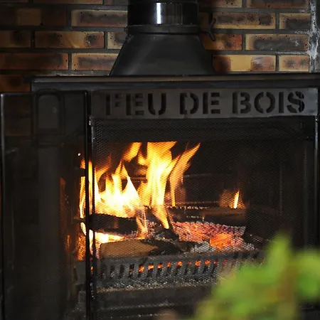 La Grange Aux Marmottes Hotel Viscos