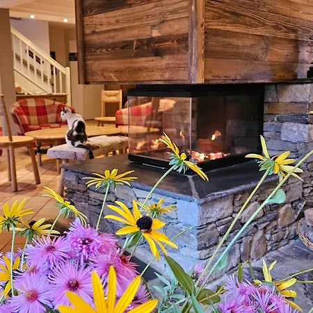 Hotel La Grange Aux Marmottes Viscos