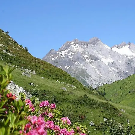 La Grange Aux Marmottes Hotel Viscos