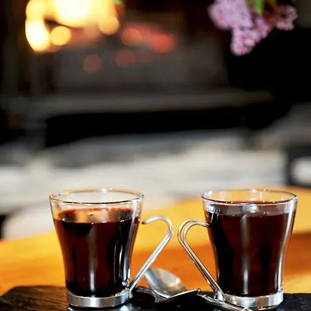 La Grange Aux Marmottes 4* Viscos